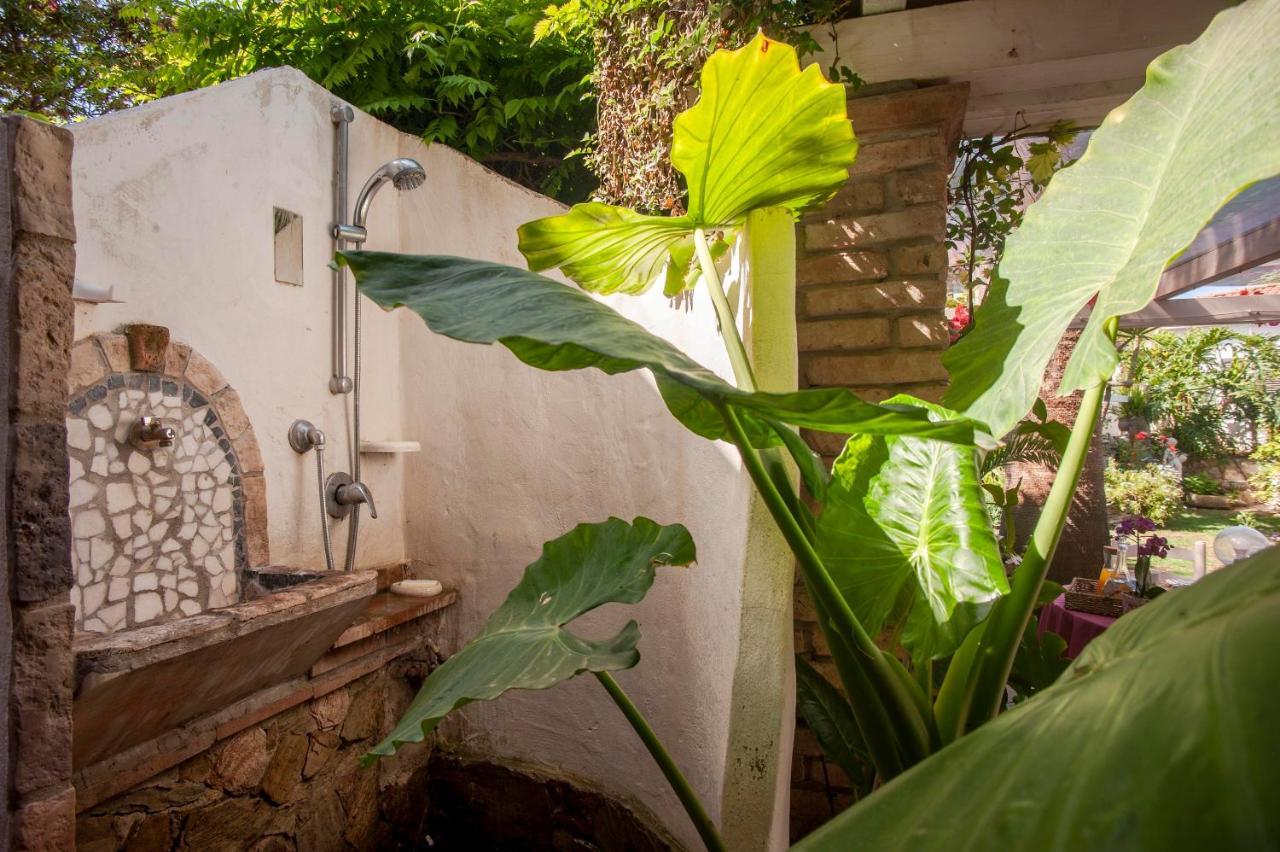 Casa Petunia Villa Сарок Екстериор снимка
